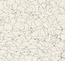 Кварцвиниловые полы Forbo Colorex EC EC 250202 ivory фото 1 | FLOORDEALER